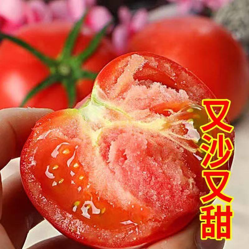 山东西红柿新鲜现摘自然熟老品种生吃沙瓤水果柿子普罗旺斯小番茄,水产肉类/新鲜蔬果/熟食,番茄,淘宝优惠券,粉丝福利购,淘宝优惠卷