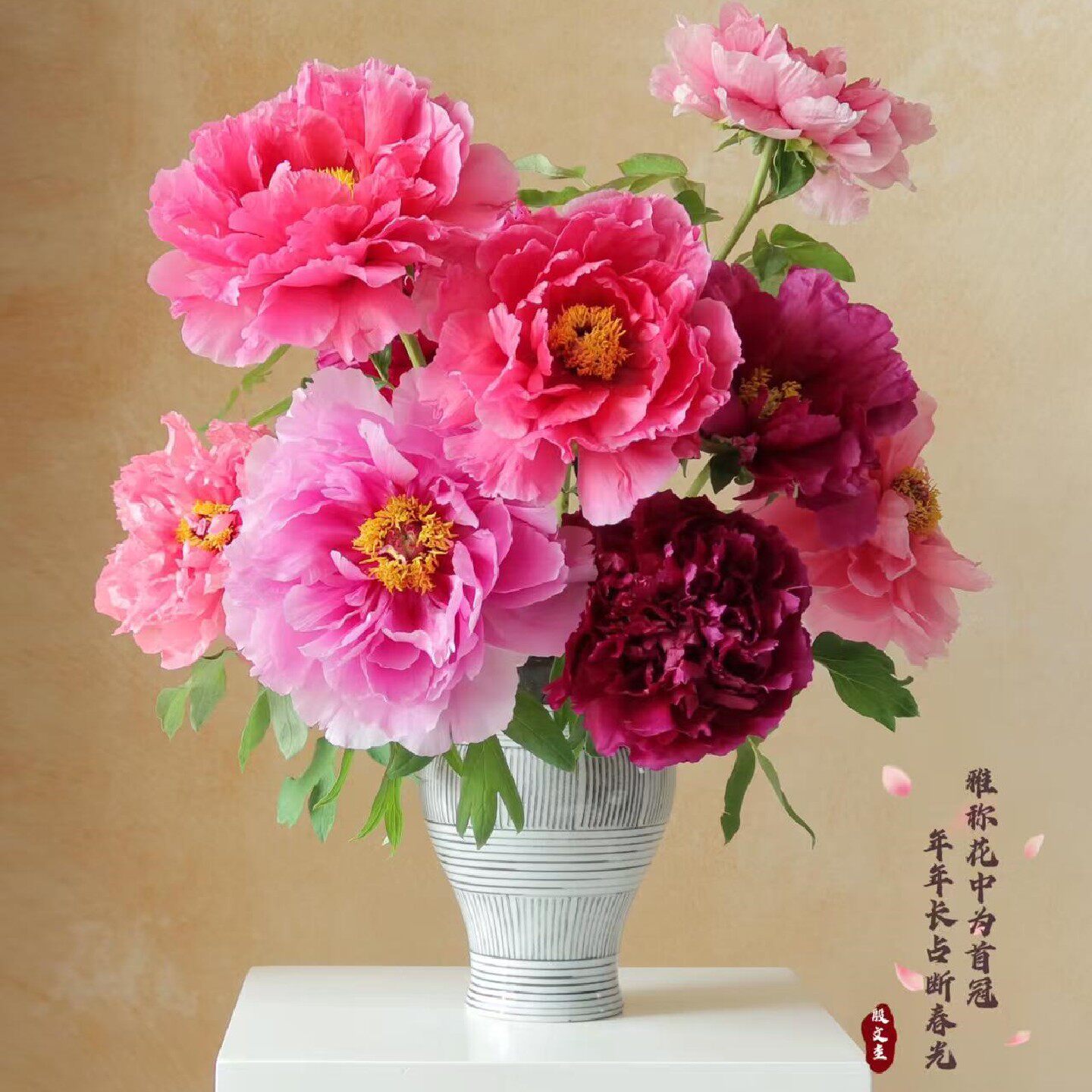 A级菏泽牡丹鲜切花重瓣鲜花水养