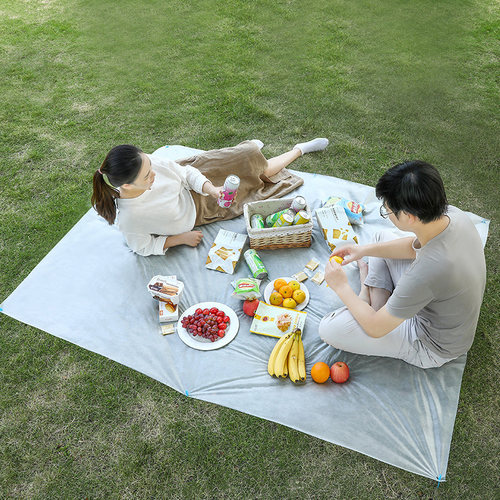 一次性野餐垫旅行户外露营野炊