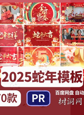 2025蛇年新年春节Pr模板企业拜年祝福年会晚会开场片头视频素材