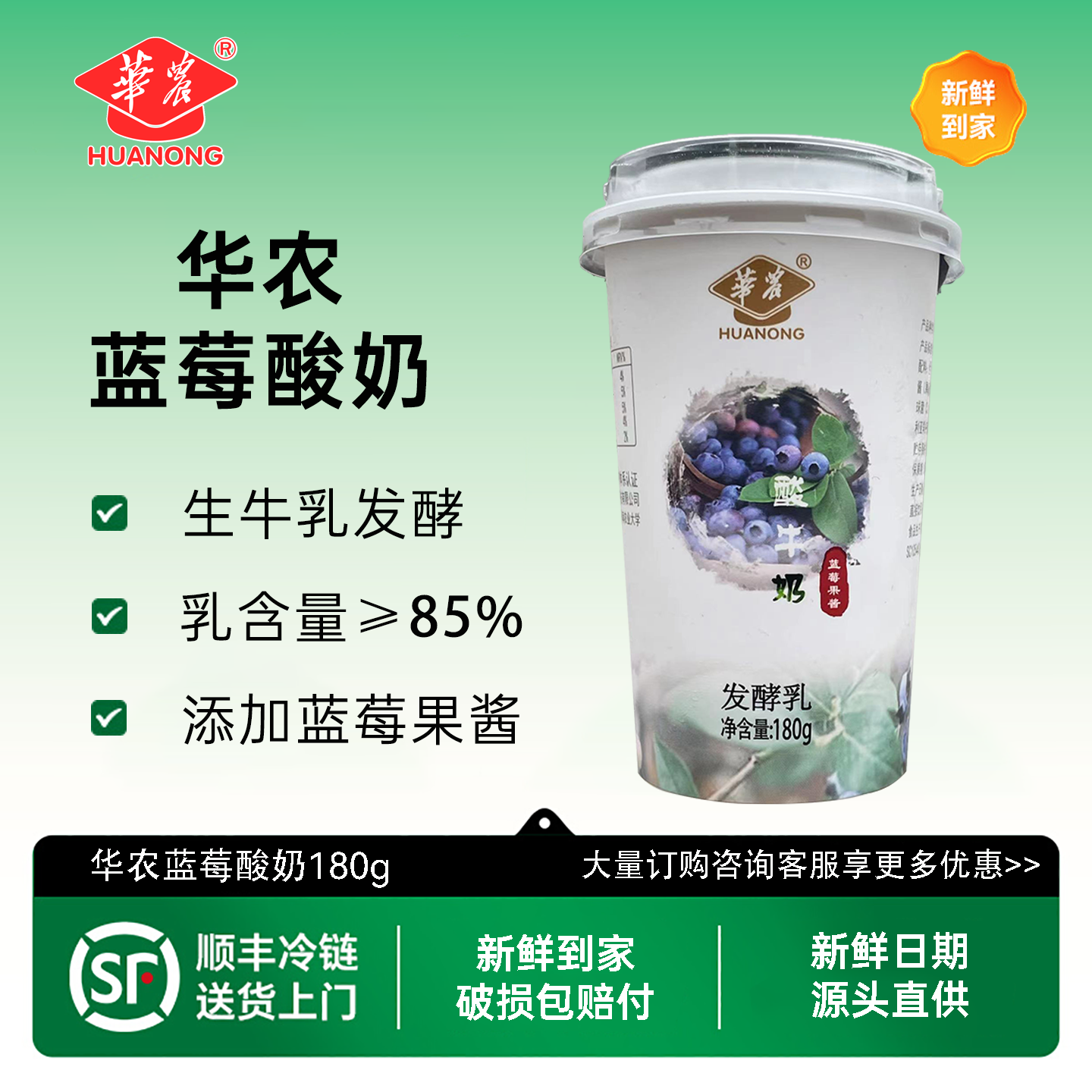 广州华农酸奶180g嚼蓝莓味益生菌
