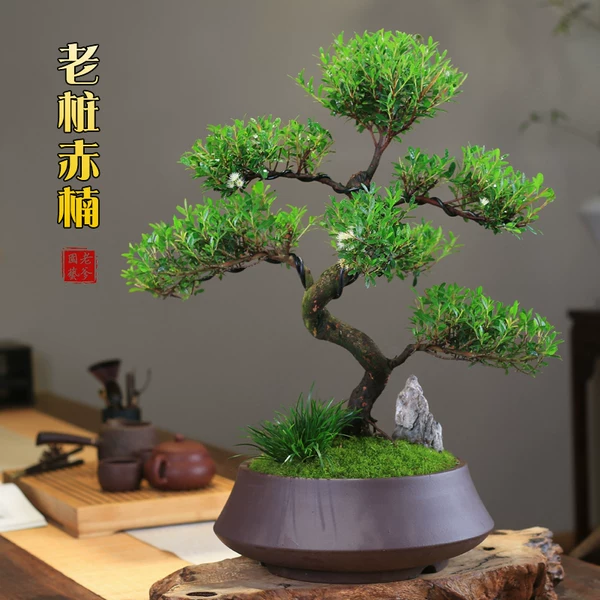 Товары от as艾尚as