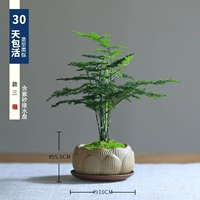 Три подарка фиолетовый песчаный розовый водный