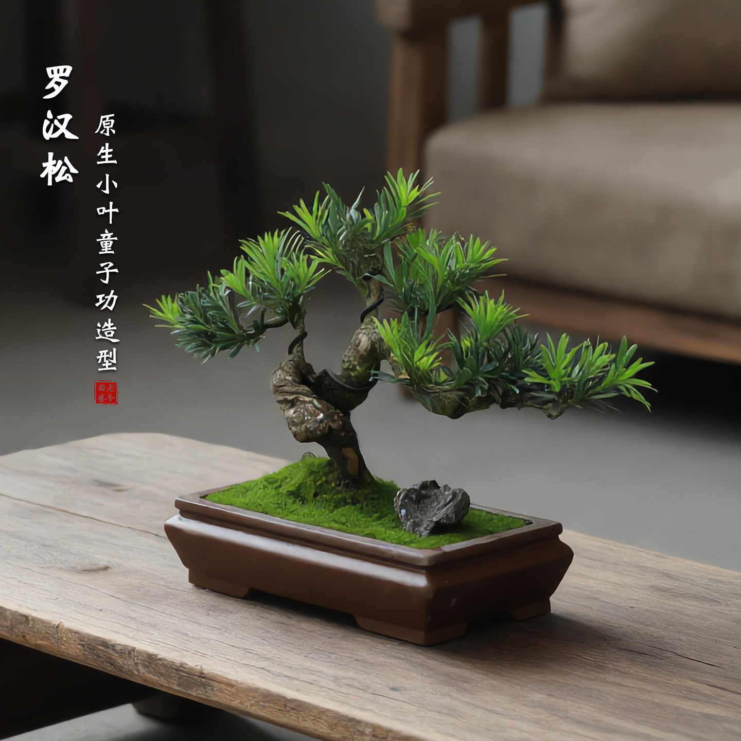 小叶罗汉松造型盆景室内绿植中式禅意摆件好养耐阴常青绿植盆栽