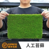 МОСС ПЛАТА МИКРО -Зланд Корт -Корт Бархат Свежий живой Мос Свежая комната Рамка