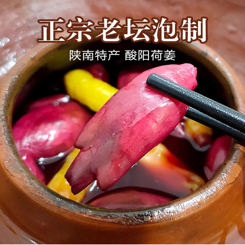 新货泡制酸辣阳荷姜陕南安康特产老坛辣椒洋火姜茗荷阳蒮洋合笋