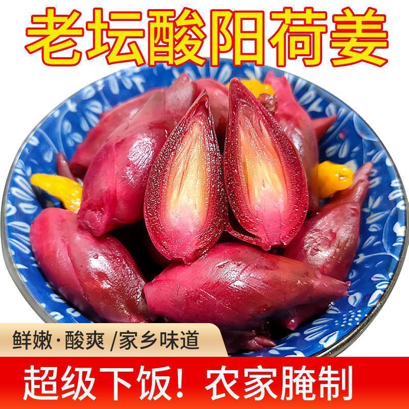 陕南安康特产腌制酸辣阳荷姜老坛洋火姜茗荷下饭菜腌菜250g袋装