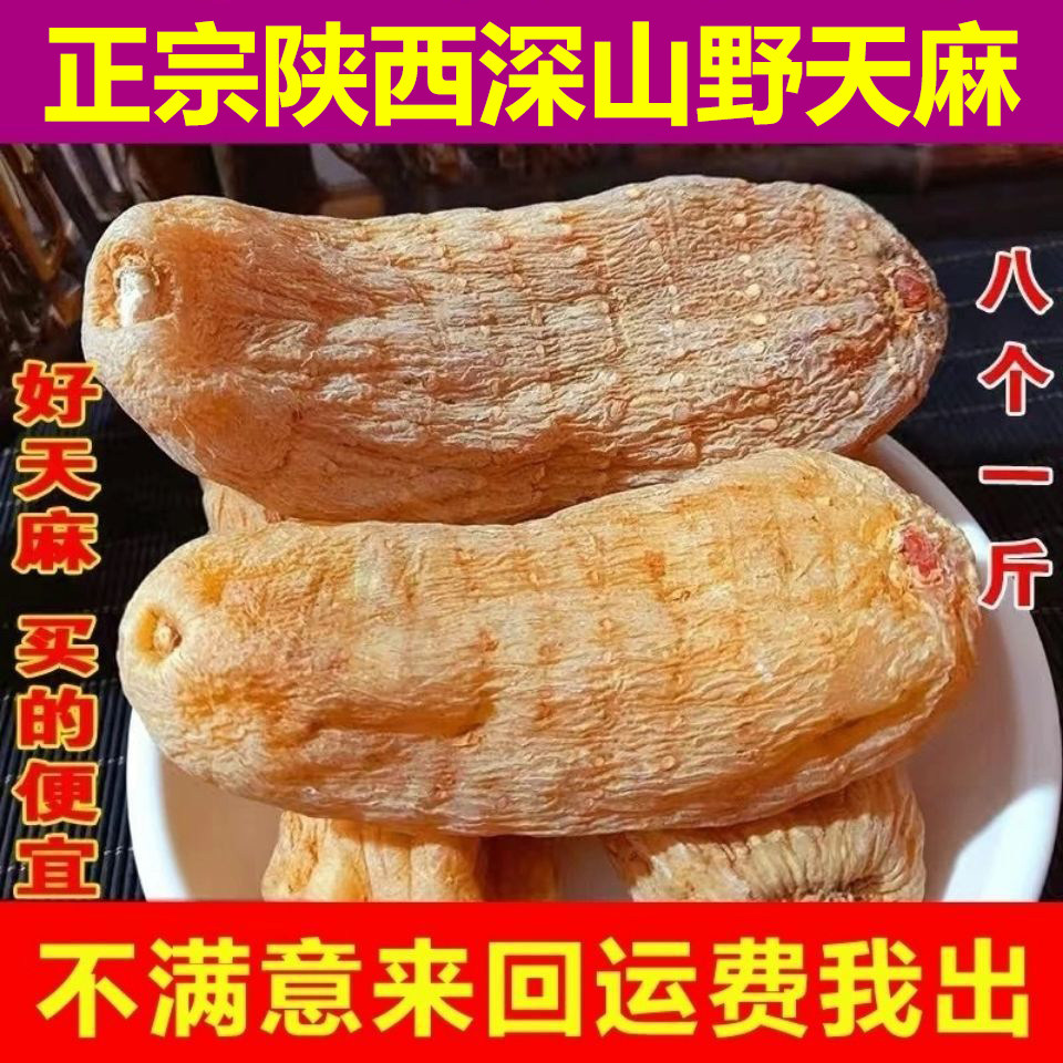 陕西安康特产整个天麻正宗天然无硫煲汤正品新鲜营养干货