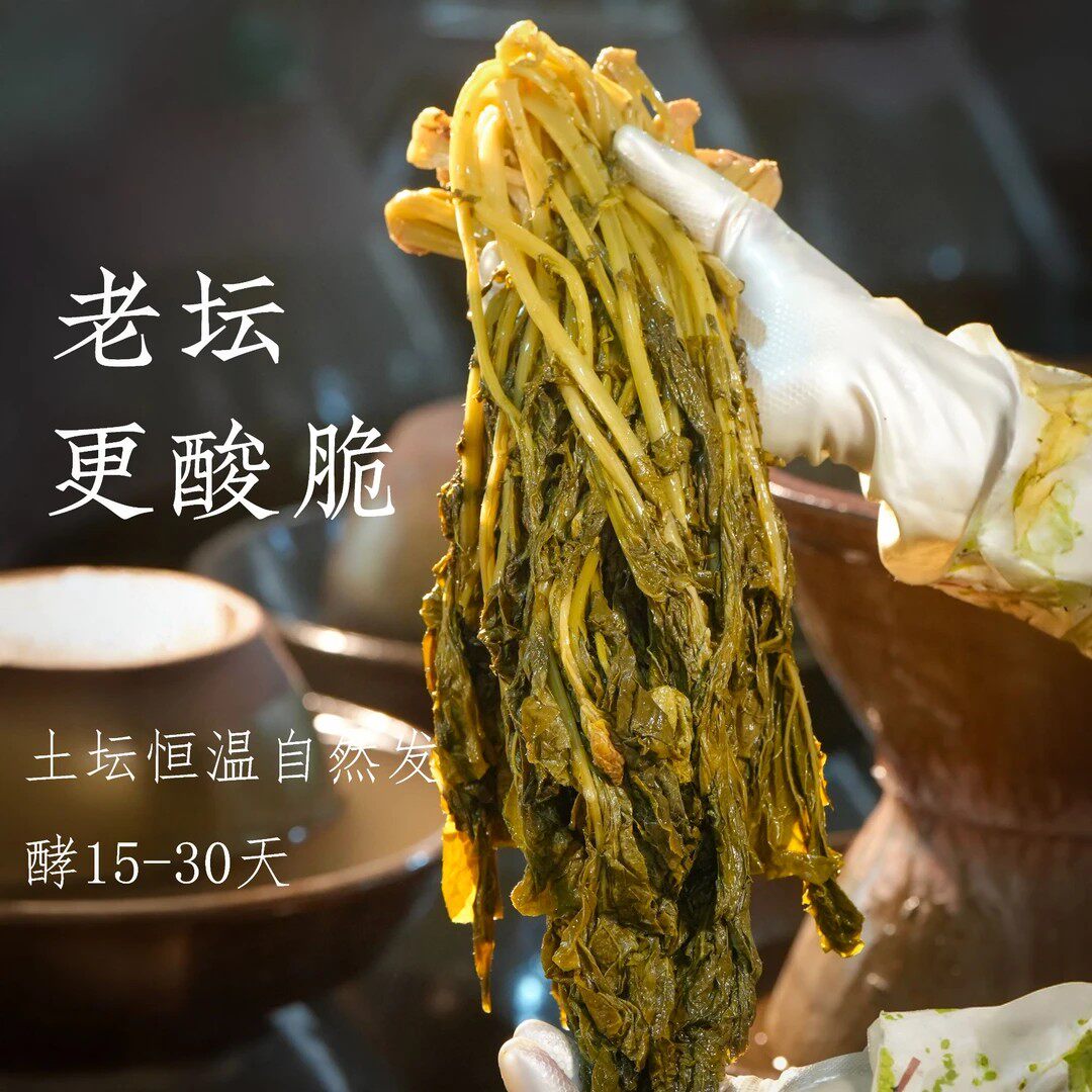 正宗老坛酸菜陕西安康特产野油菜酸菜下饭菜半成品菜泡菜浆水菜