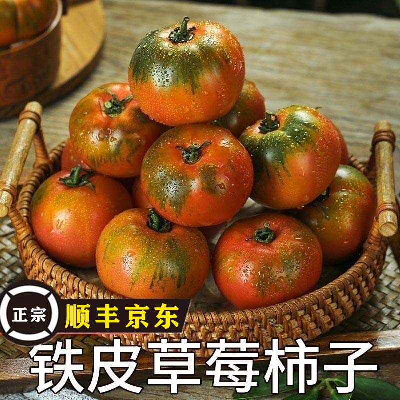 正宗丹东铁皮草莓柿子盘锦碱地即食新鲜自然熟绿腚番茄水果西红柿