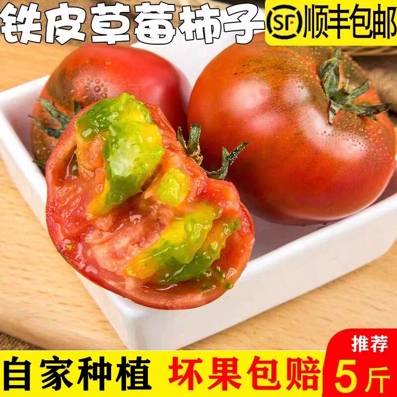 大连草莓柿子番茄铁皮柿子绿腚油柿子碱地青肩西红柿自然熟包邮