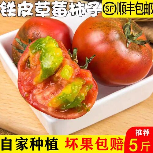 大连草莓柿子番茄铁皮柿子绿腚油柿子碱地青肩西红柿自然熟包邮
