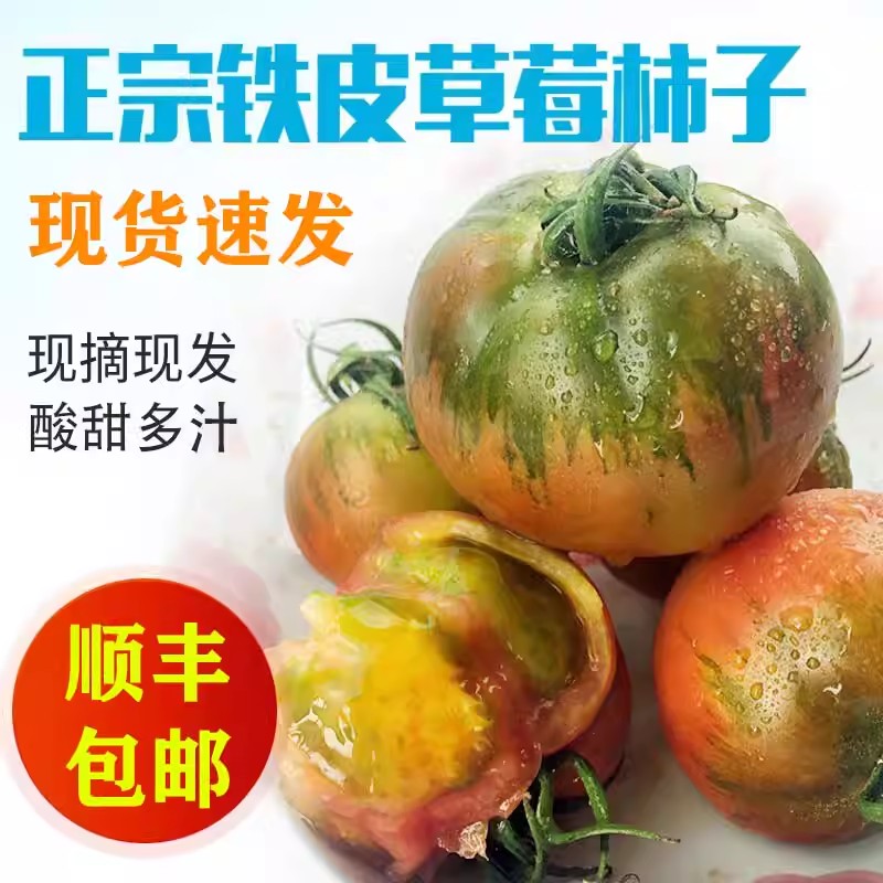 草莓柿子西红柿新鲜自然熟铁皮柿子盘锦碱地生吃水果丹东番茄5斤