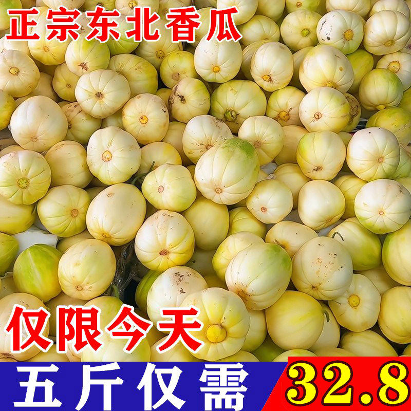 东北大地香瓜水果新鲜当季精选现摘甜瓜白糖罐超甜小脆瓜整箱 5斤图片