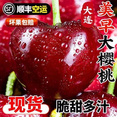 现货大连美早大樱桃国产车厘子新鲜礼盒装脆甜孕妇水果3J5J应当季