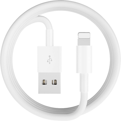 匿名者适用于iPhone苹果数据线