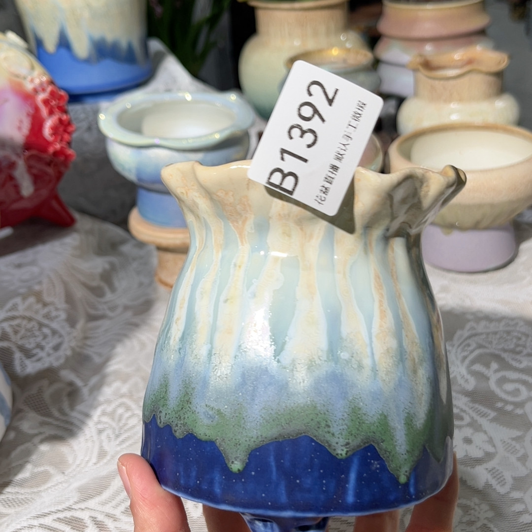 微瑕,鲜花速递/花卉仿真/绿植园艺,多肉植物,淘宝优惠券,粉丝福利购,淘宝优惠卷