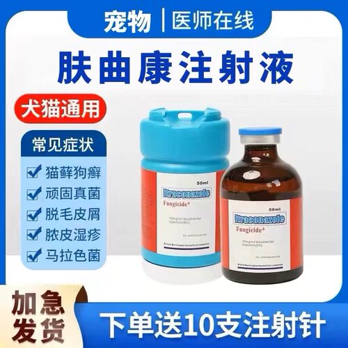 肤曲康伊曲康唑注射液针剂50ml宠物狗猫咪真菌掉毛皮屑安肤哆猫癣