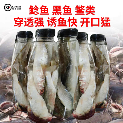 【顺丰包邮】钓胡子江团大口鲶鱼饵料臭鱼臭餐条鱼瓶装鲮鱼发酵饵