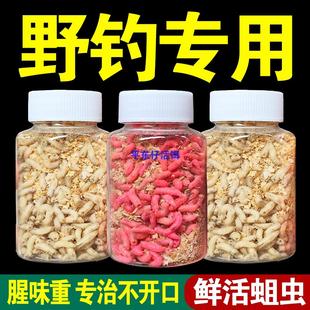 【冬季款大蛆虫】钓鱼鲜活蛆虫红蛆白蛆野钓公鱼鲫鱼鲤鱼白条饵料