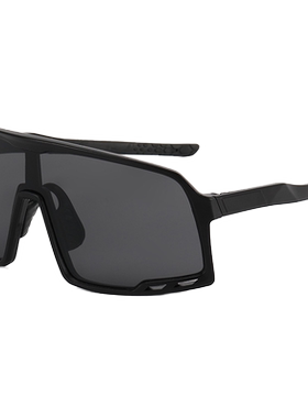 户外登山太阳眼镜男款