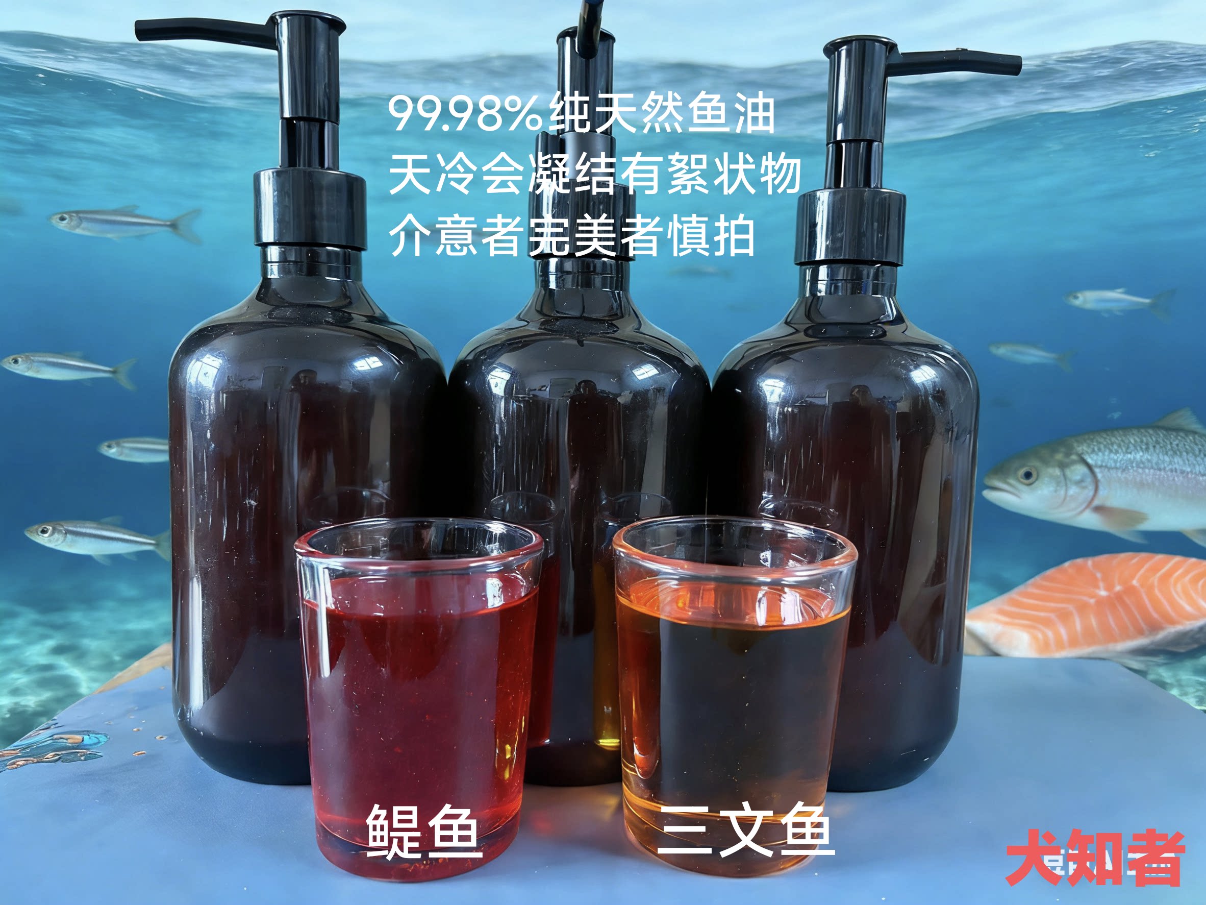 猫狗鱼油宠物营养补充剂三文鱼油狗卵磷脂/鱼油/海藻