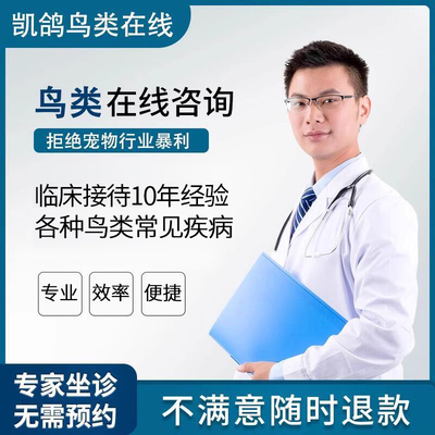 鹦鹉各种鸟类专业在线咨询治疗