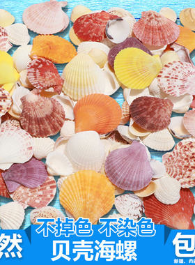 手工diy装饰品海螺贝壳天然鱼缸