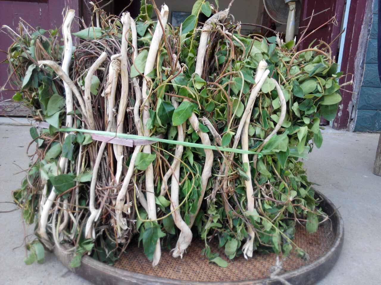 干金银花藤忍冬藤宝宝洗澡野生原生态现采现寄包邮