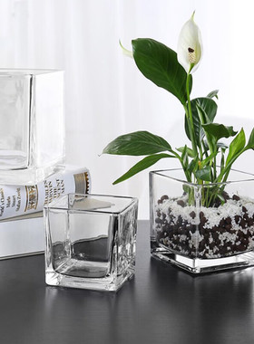 正方形玻璃盆水培瓶透明花瓶方缸铜钱草花槽圆筒龙蛋圆球陶瓷花盆