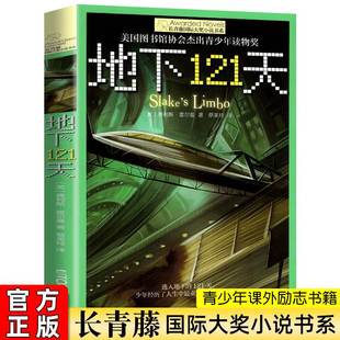 地下121天 长青藤大奖小说书系列8 15岁三四五六年级中小学生课外书籍青少年阅读物少儿励志图书df 霍尔曼儿童文学故事书