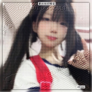 【浮雕水印】全屏浮雕防盗水印头像风格水印4R