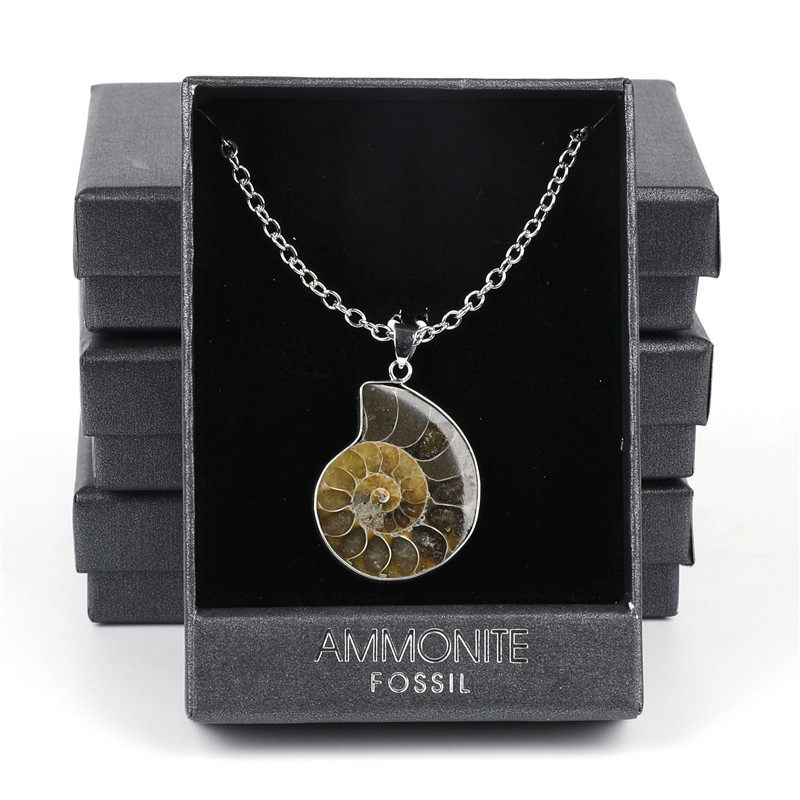 ammonite菊石挂件天然斑彩螺化石吊坠包银边项链女简约百搭毛衣链