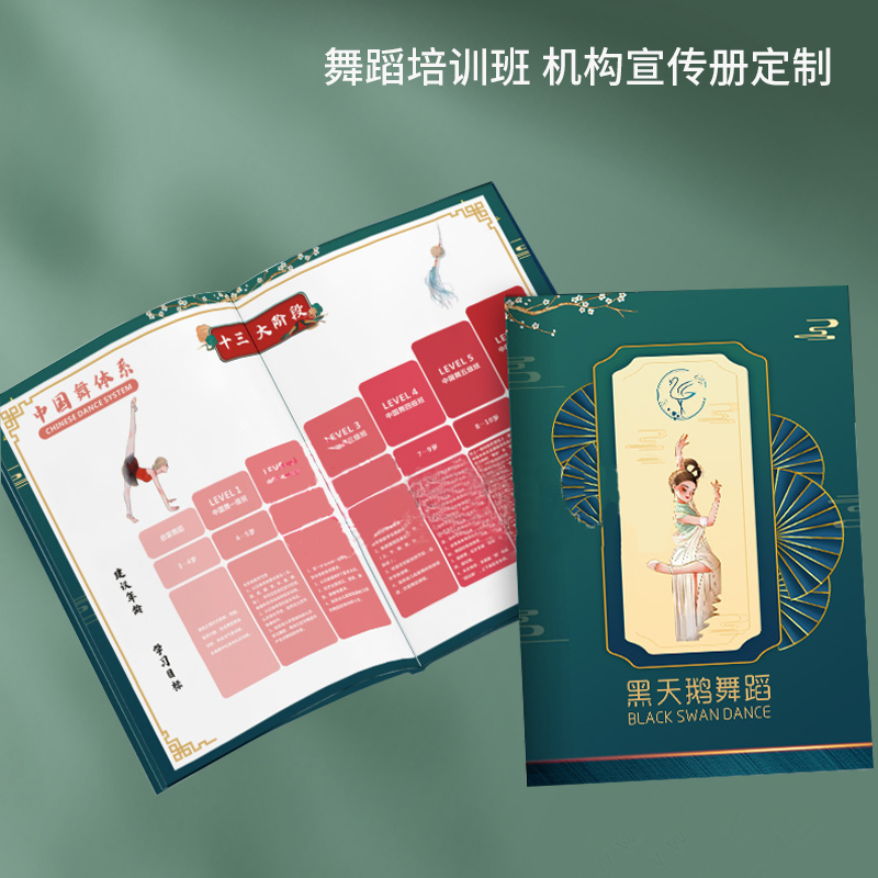 芭蕾舞蹈班课程体系手册定制机构简介小册子拉丁舞培训招生宣传册