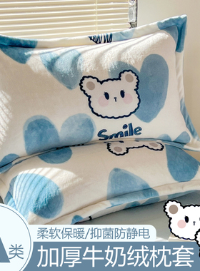a类牛奶绒枕套一对装40x60cm冬季加厚珊瑚绒枕头套加绒枕芯套成人