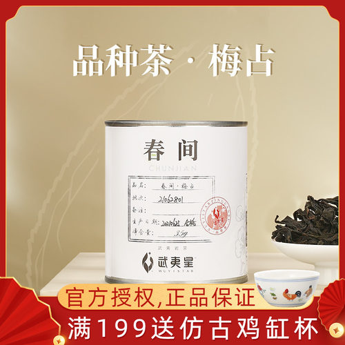 武夷星小品种茶梅占大红袍