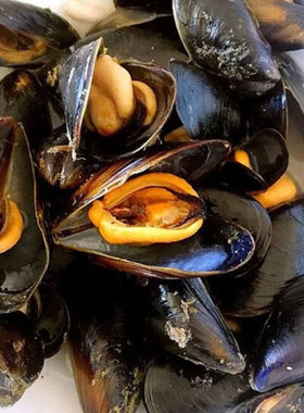 海鲜鲜活青口贝野生大海虹新鲜淡菜贻贝海鲜水产宝宝辅食5斤