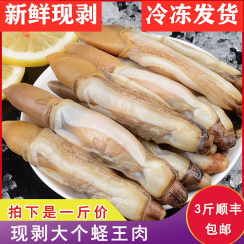 蛏子肉现剥圣干竹蛏子海鲜水产鲜活野生超特大蛏子新鲜包邮蛏子王