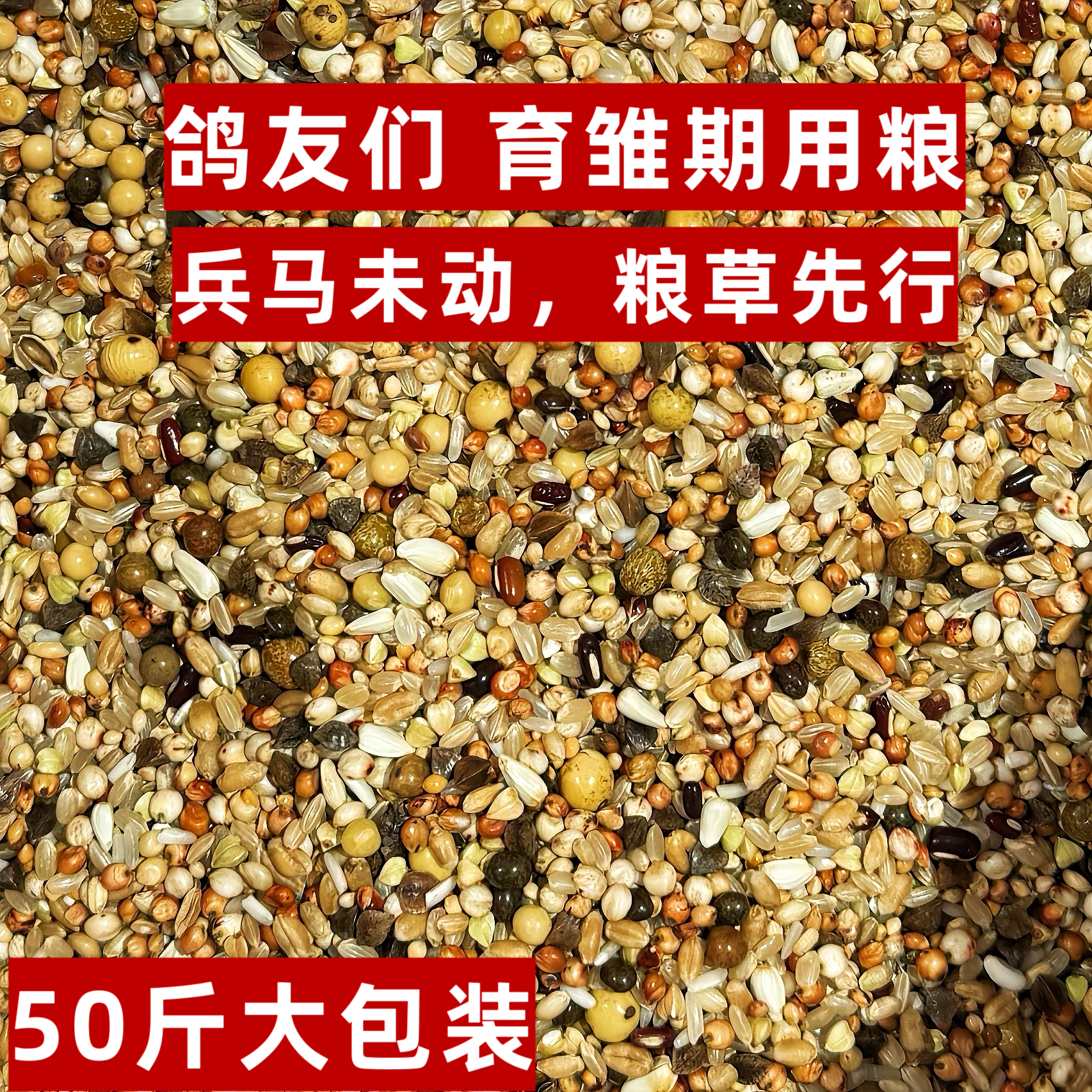 育雏喷窝能量款 打比赛小鸽子幼鸽食鸽子粮50斤整袋包邮大品牌