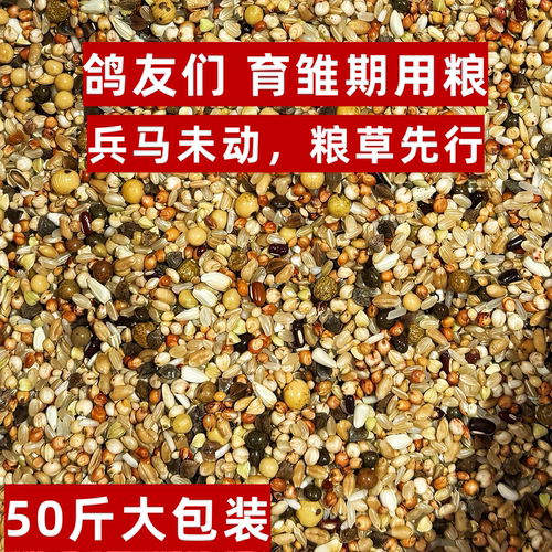 育雏喷窝能量款 打比赛小鸽子幼鸽食鸽子粮50斤整袋包邮大品牌