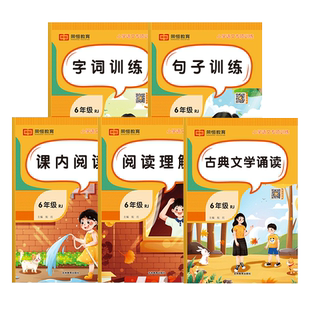 六年级全一册语文专项训练全5册小升初课内阅读句子训练字词训练古典文学诵读阅读理解同步练习册人教版小生课内阅读理解专项训练