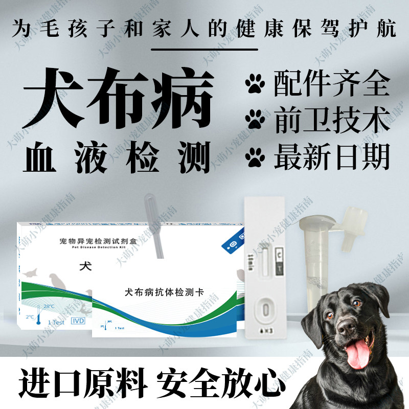 犬布病抗体快速检测卡狗狗宠物犬猫用品批发血液检测宠物医院同款