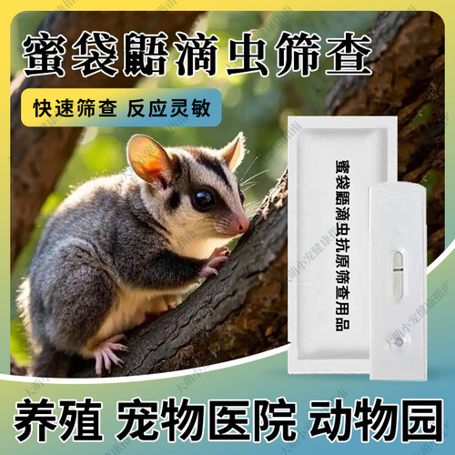 蜜袋鼯滴虫抗原快速检测卡异宠宠物蜜袋鼯小蜜自测疫病检测试纸