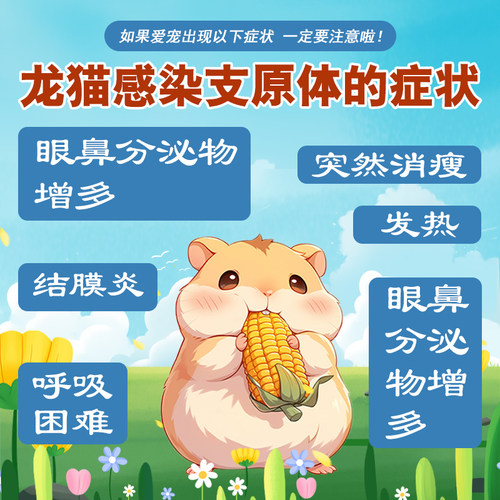 龙猫支原体抗原病毒用品动物园异宠南美栗鼠病毒检测居家自测