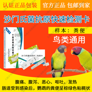 鹦鹉沙门氏菌抗原快速检测卡鸟类通用虎皮牡丹玄凤沙门氏菌试纸