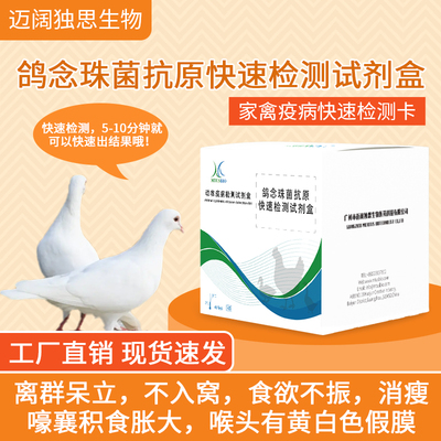 鸽子念珠菌抗原快速检测卡信鸽家养鸽子动物园鸽子疫病检测试纸