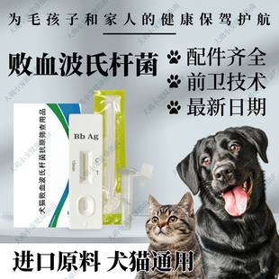 犬猫败血波氏杆菌抗原快速检测卡狗狗猫咪博代氏菌病宠物用品唾液