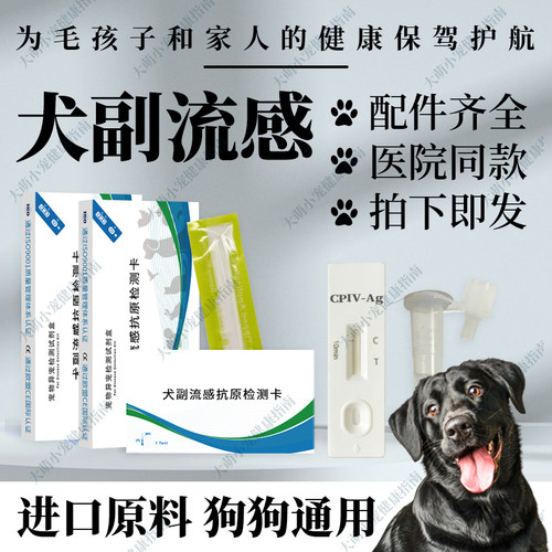 兽用犬副流感抗原快速检测卡狗猫粪便试纸卡试纸条医院同款批发