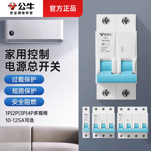 公牛家用空气开关总闸2p