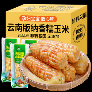 云南西双版纳香糯小玉米即食真空新鲜傣家粘甜花糯玉米棒粗粮代餐